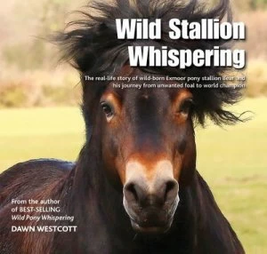 Image of Wild Stallion Whispering by Dawn Westcott Hardback