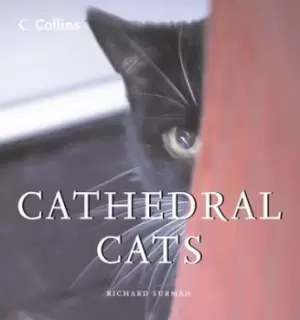 Image of Cathedral cats - Richard Surman - Hardback - Used