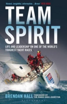 Image of Team Spirit by Brendan Hall Paperback
