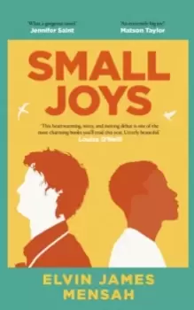 Image of Small Joys : A Buzzfeed 'Amazing New Book You Need to Read ASAP'
