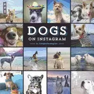 Image of dogs on instagram