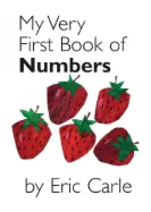 Image of my very first book of numbers