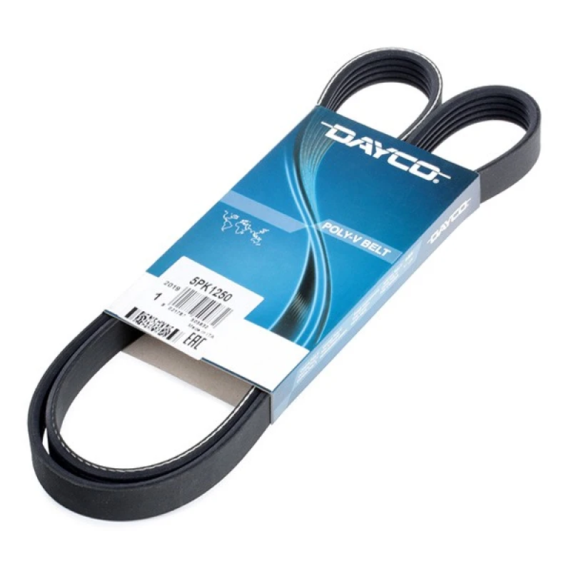Image of DAYCO 5PK1250 V-ribbed belt V-Ribbed Belts (305)