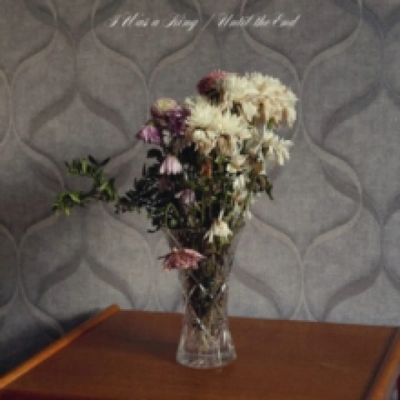 Image of Until the End Vinyl