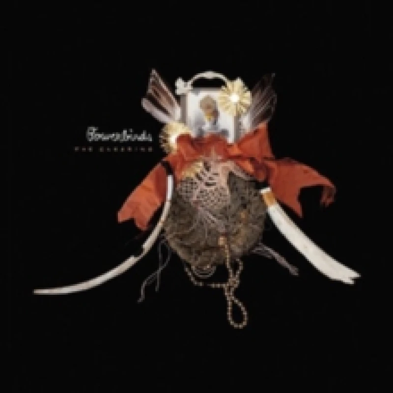 Image of The Clearing CD / Album