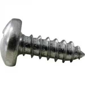Image of TOOLCRAFT DIN7981 C-H 2,2x4,5 (100) Raised head self-tapping screw 2.2mm 4.5mm Phillips DIN 7981 Steel zinc plated 100 pc(s)