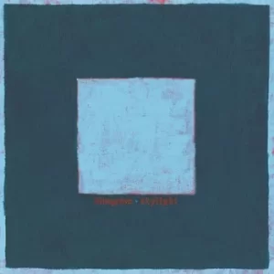 image of Skylight by Pinegrove CD Album