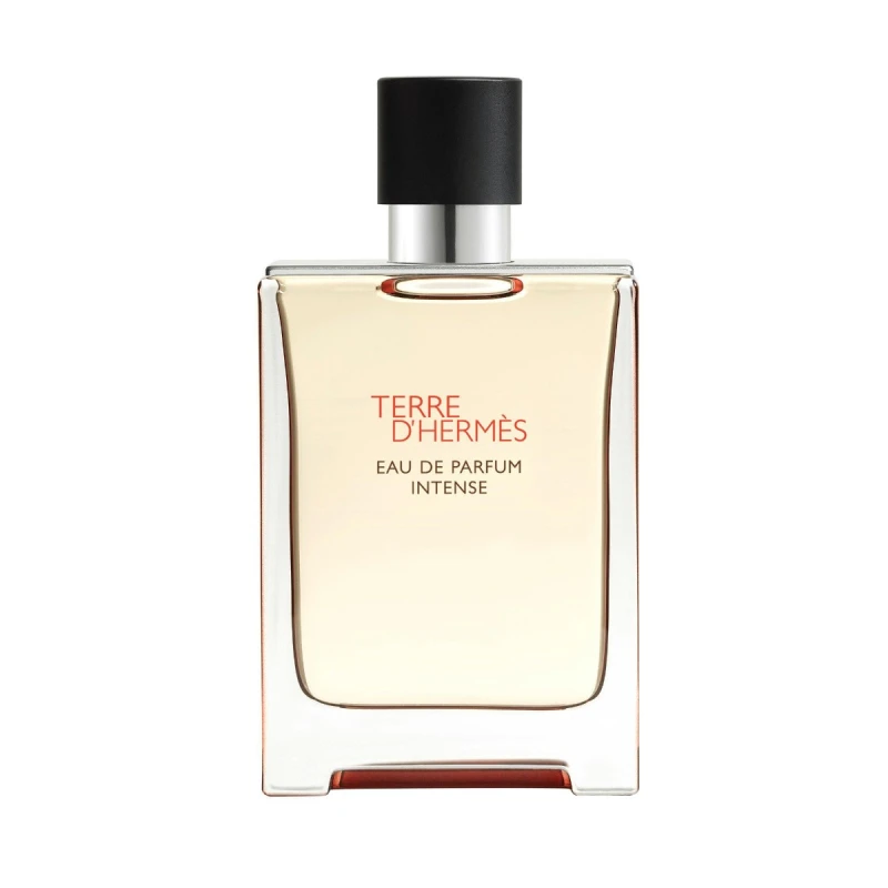 Image of Hermes Terre D'Hermes Intense 100ml Eau de Parfum