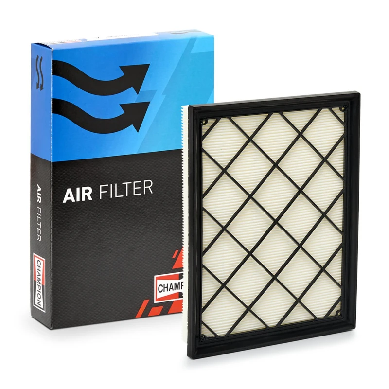 Image of Air filter CHAMPION CAF101189P
