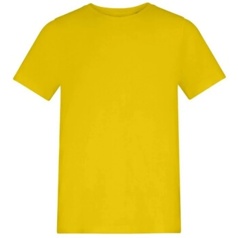 Image of Awdis 150 boys's Children's T shirt in Multicolour