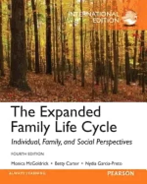 Image of expanded family life cycle individual family and social perspectives intern