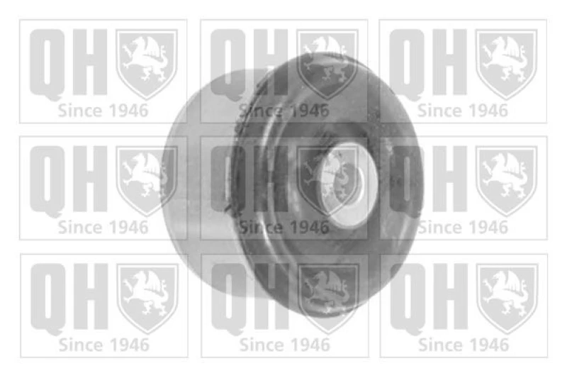 Image of QUINTON HAZELL Trailing arm / Suspension arm bush QUINTON HAZELL EMS8424