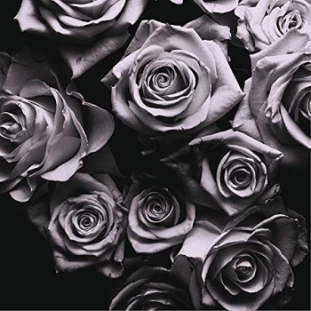 Image of Zomby - With Love CD