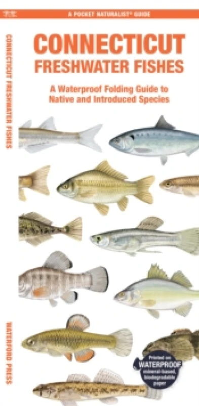 Image of Connecticut Freshwater Fishes Pamphlet