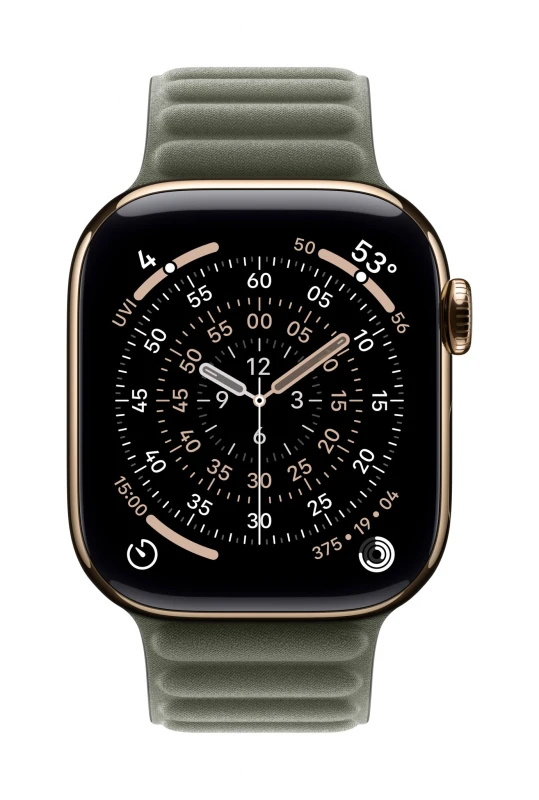 Image of Apple Apple 42mm Sage Grey Magnetic Link - S/M MGDD4ZM/A