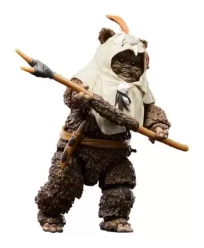 Image of Star Wars Episode VI 40th Anniversary Black Series Action Figure Paploo 15 cm
