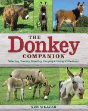 Image of donkey companion