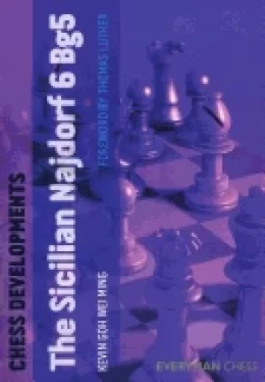 Image of chess developments sicilian najdorf 6 bg5