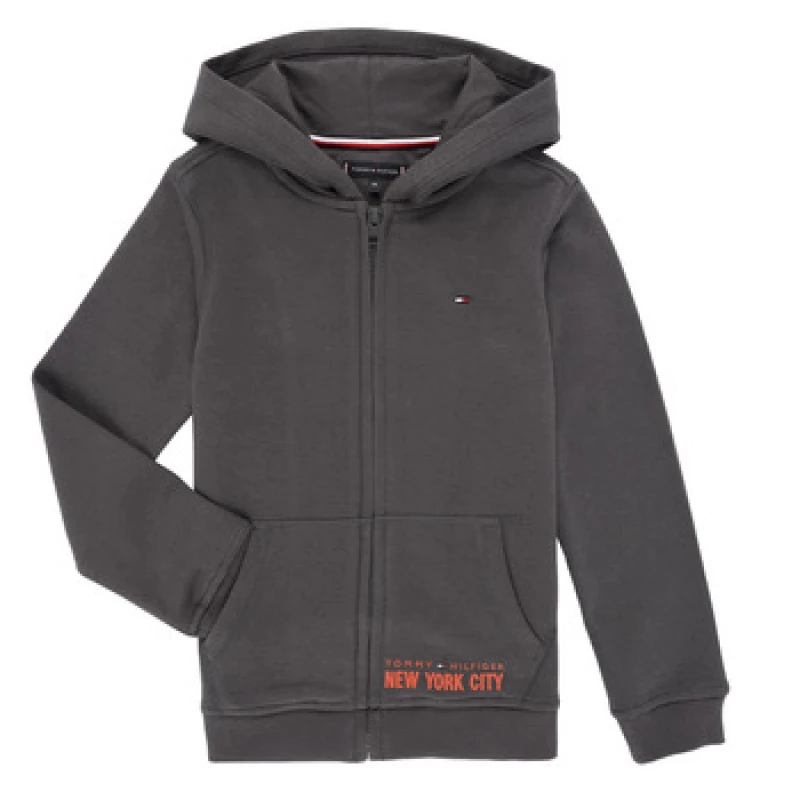 Image of Tommy Hilfiger NYC PRINT ZIPTHROUGH HOODIE boys's Children's sweatshirt in Grey
