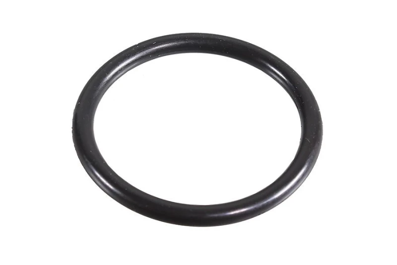 Image of Seal Ring METZGER 2430059