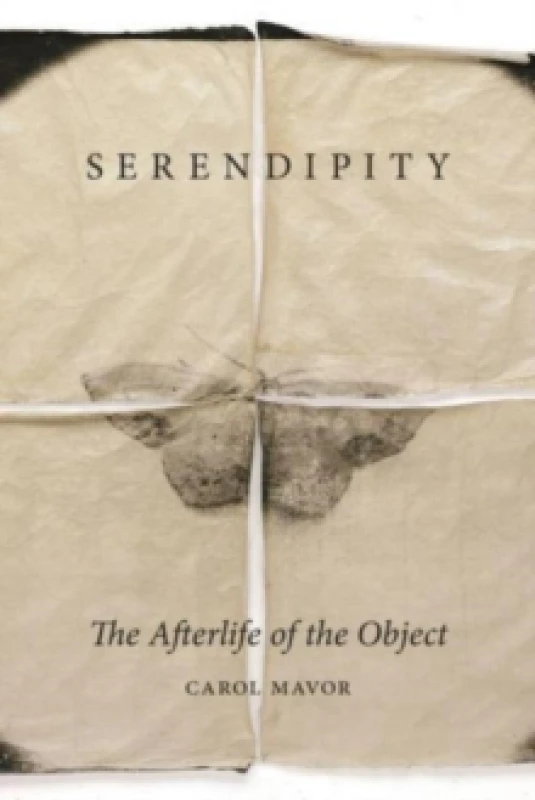 Image of Serendipity : The Afterlife of the Object Hardback