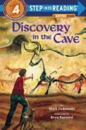 Image of discovery in the cave