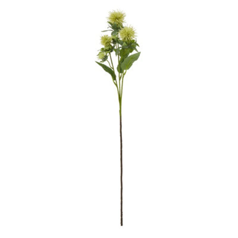 Image of Green Safflower Spray