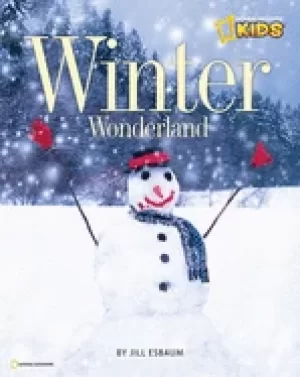 Image of winter wonderland