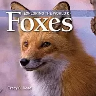 Image of exploring the world of foxes