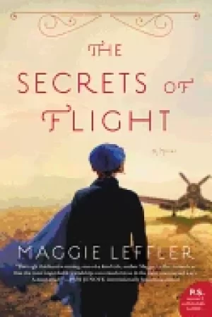 Image of secrets of flight a novel