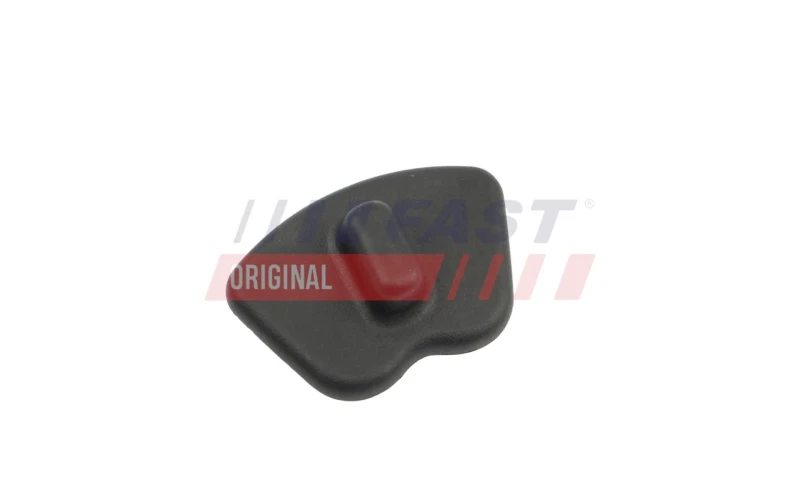 Image of FAST Door Handle, interior FAST FT10196
