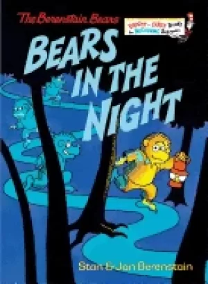 Image of bears in the night