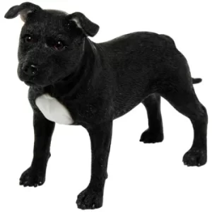 image of Best Breed Dog Black Standing Staffordshire Terrier