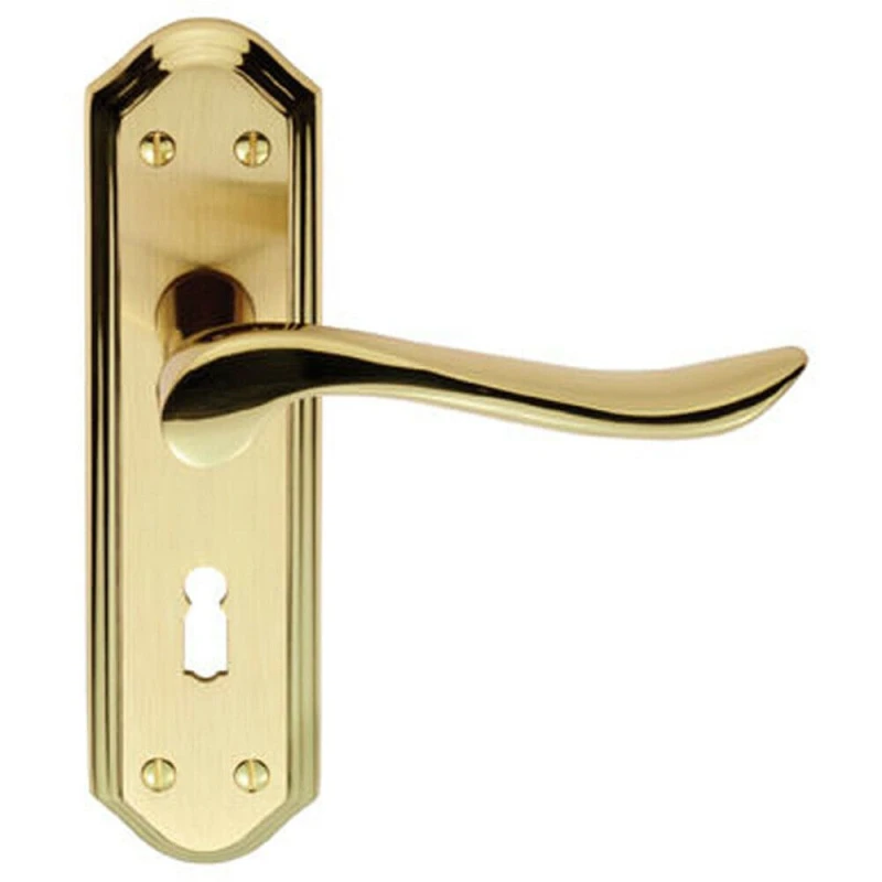 Image of Loops PAIR Curved Lever on Sculpted Edge Backplate 180 x 48mm Satin/Polished Brass Metallics