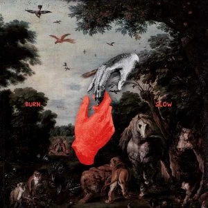 Image of Chris Liebing - Burn Slow Vinyl
