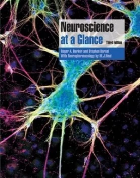 Image of Neuroscience at a Glance by Roger A. Barker Paperback