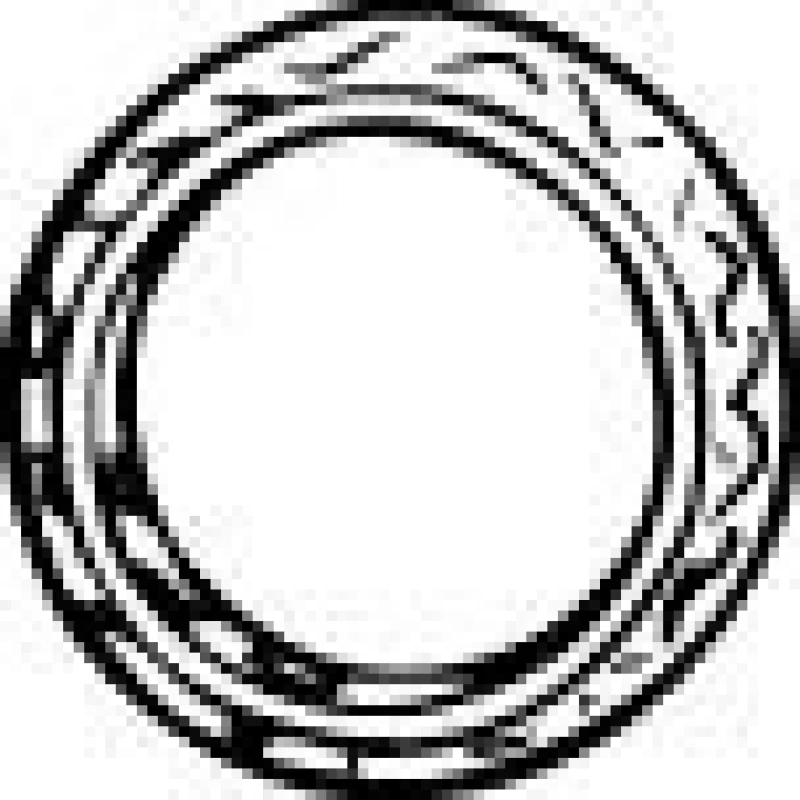 Image of VEGAZ MZD-108 Seal, exhaust pipe Steel Seal,exhaust pipe (204)