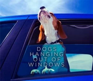 Image of Dogs Hanging Out of Windows by Various Hardback