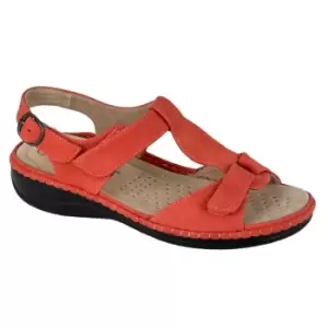 image of Boulevard Womens/Ladies Buckle Leather Lined Sandals (3 UK) (Coral Pink)