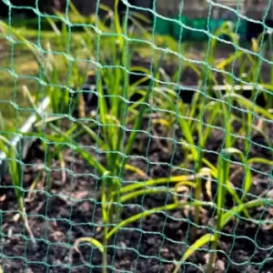 image of Garden Skill Gardenskill Bird Block Soft Bird Mesh Netting For Fruit, Veg And Plants 6M X 50M