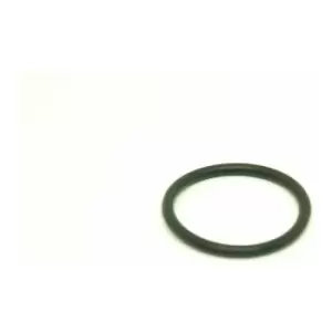 image of AJUSA Gaskets 16075500 Seal, coolant pipe VW,AUDI,FORD,Transporter IV Bus (70B, 70C, 7DB, 7DK, 70J, 70K, 7DC, 7DJ),TIGUAN (5N_)