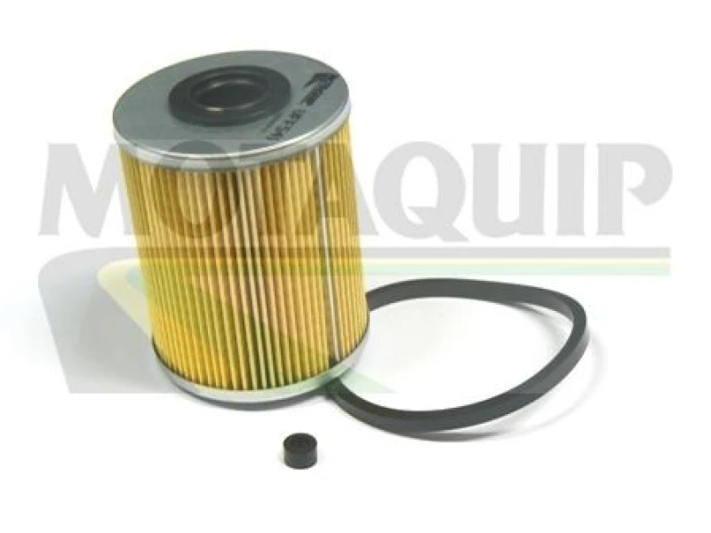 Image of MOTAQUIP Fuel filter MOTAQUIP VFF541