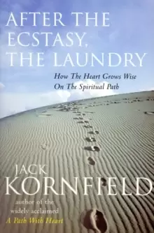 Image of After The Ecstasy, The Laundry