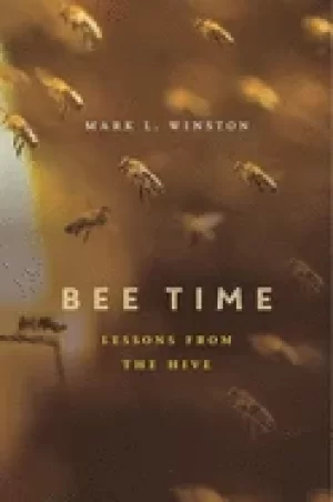 Image of bee time lessons from the hive