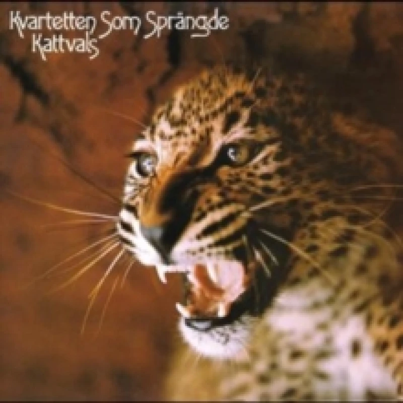 Image of Kattvals Vinyl