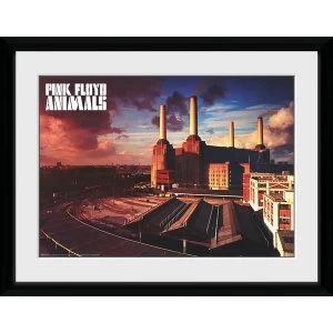 image of Pink Floyd - Animals #2 12" x 16" Collector Print