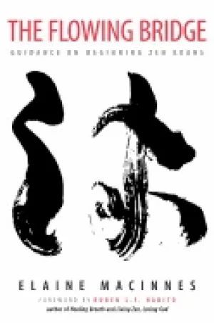 Image of flowing bridge guidance on beginning zen koans