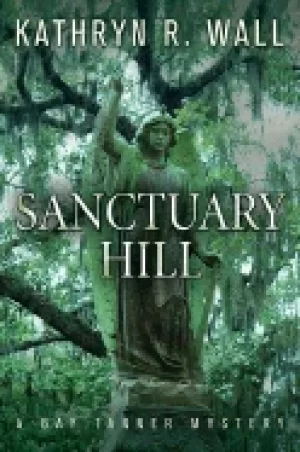 Image of sanctuary hill a bay tanner mystery