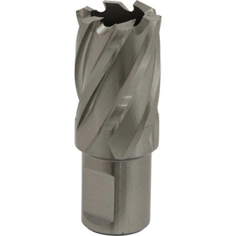 Image of Loops 22mm x 25mm Depth Rotabor Cutter - M2 Steel Annular Metal Core Drill 19mm Shank Metallics