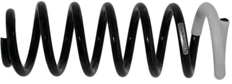 Image of Coil spring SACHS 994 755